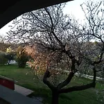 Belle Marche Bed & Breakfast