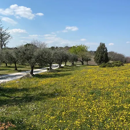 Belle Marche Bed & Breakfast