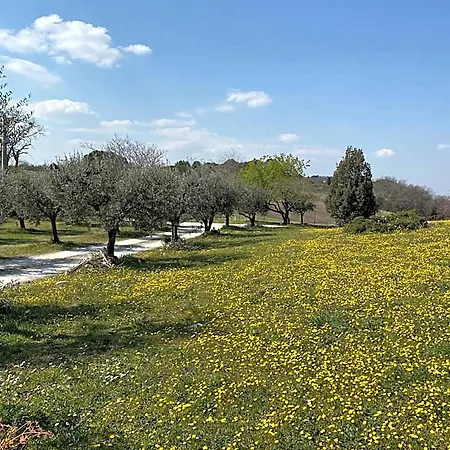 Belle Marche Frühstückspension Civitanova Alta