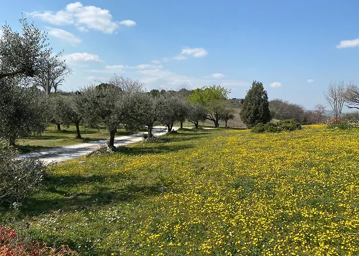 Belle Marche Oda ve Kahvaltı