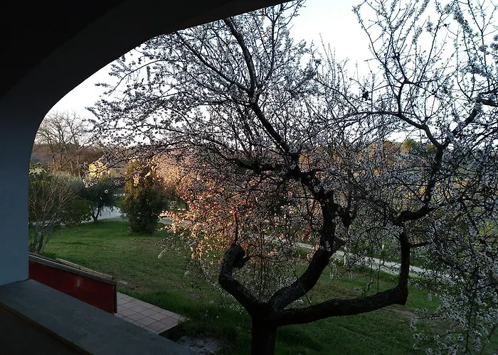 Belle Marche Oda ve Kahvaltı